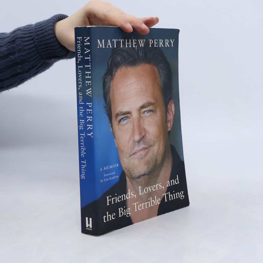 Matthew Perry Friends, Lovers, and the Big Terrible Thing