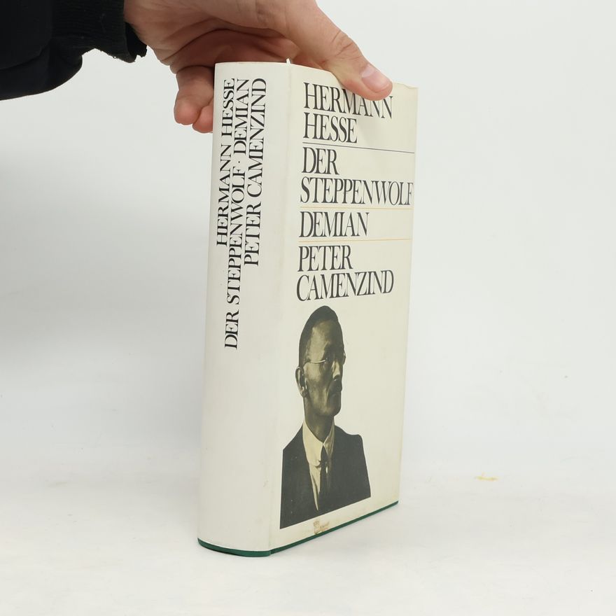Hermann Hesse Der Steppenwolf. Demian. Peter Camenzind
