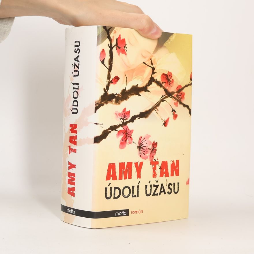 Amy Tan Údolí úžasu