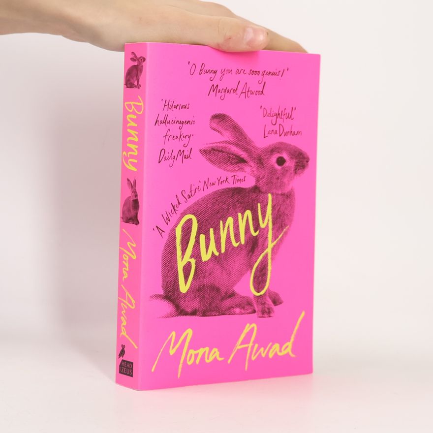 Mona Awad Bunny
