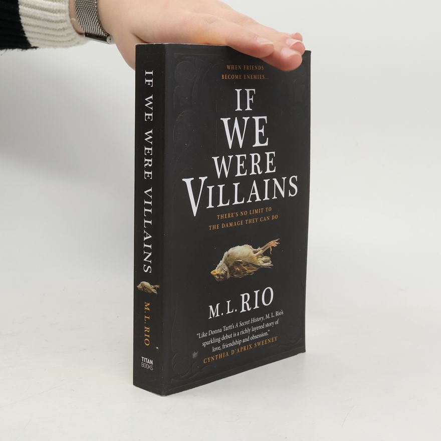 M. L. Rio If We Were Villains