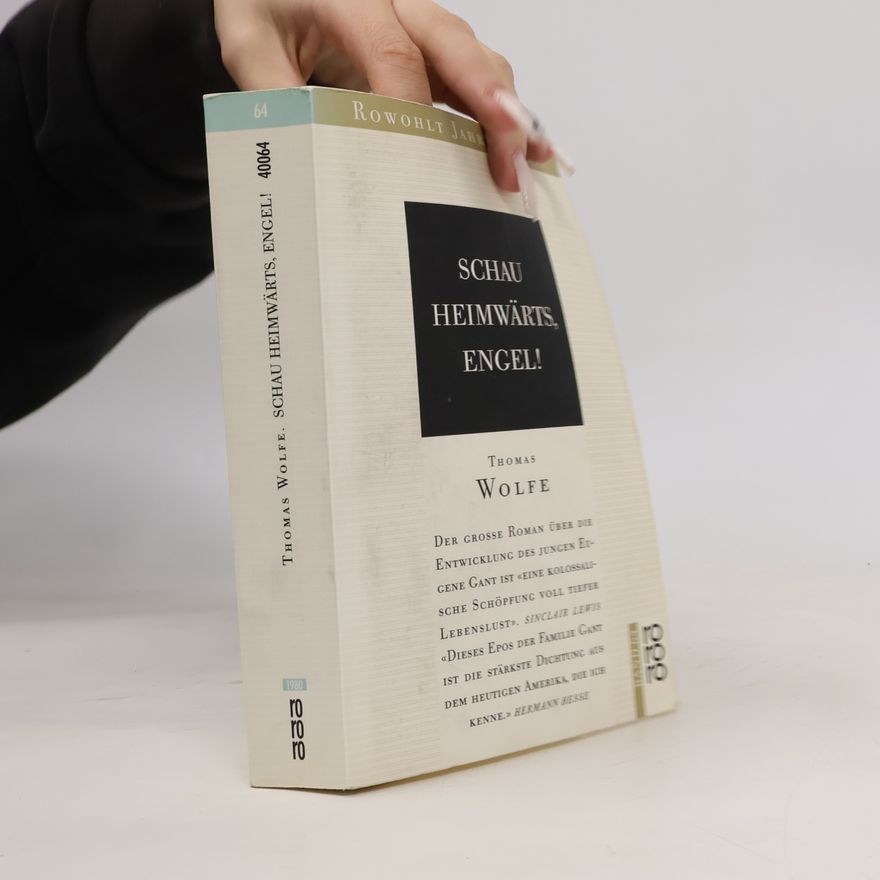 Thomas Wolfe Schau heimwärts, Engel!
