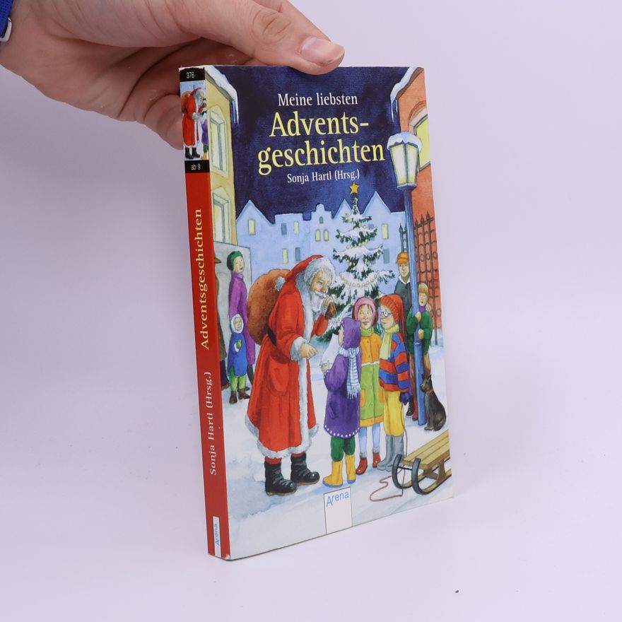 Kolektív autorov Meine liebsten Adventsgeschichten