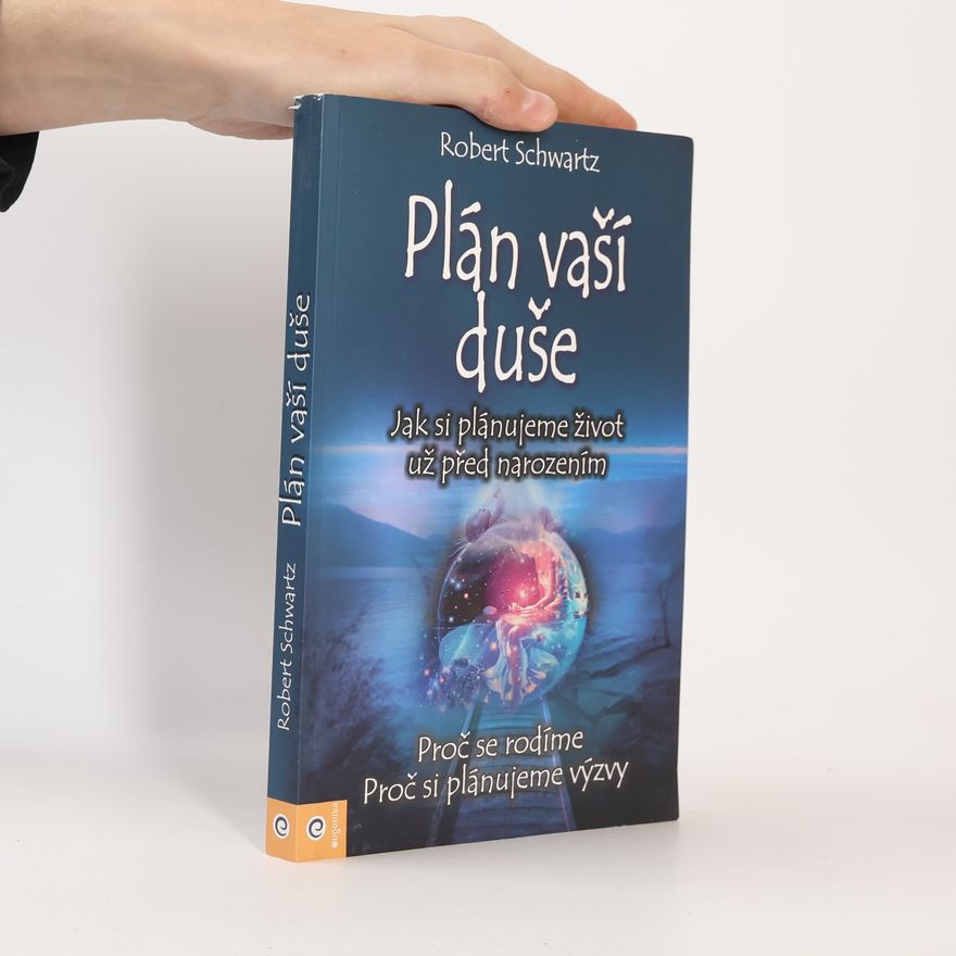 Zuzana Šestáková Plán vaší duše. Jak si plánujeme život už před narozením
