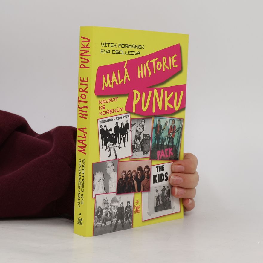 Vítek Formánek Malá historie punku