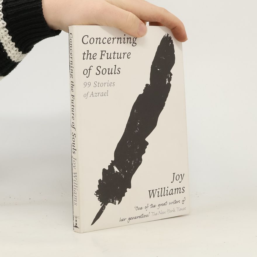 Joy Williams Concerning the Future of Souls