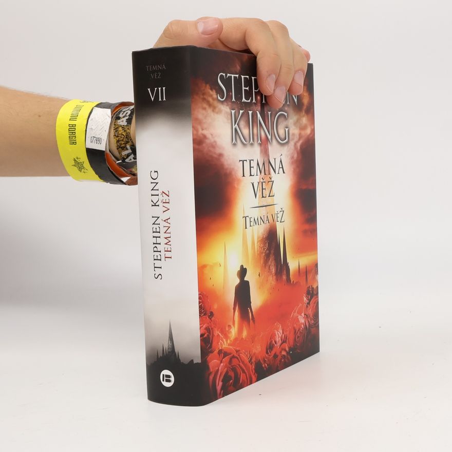 Stephen King Temná věž: Temná věž