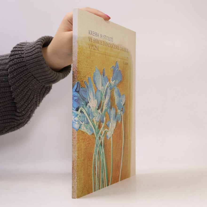 Various authors Kresba 19. století. Ve sbírce západočeské galerie v Plzní. 1. část