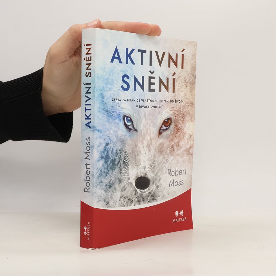 Robert Moss Aktivní snění