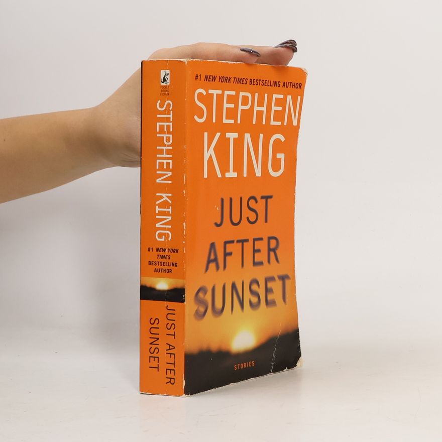 Stephen King Just After Sunset