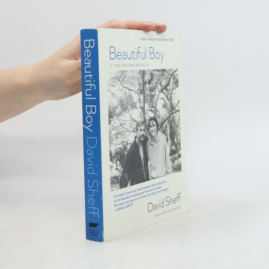 David Sheff Beautiful Boy (Tie-In)