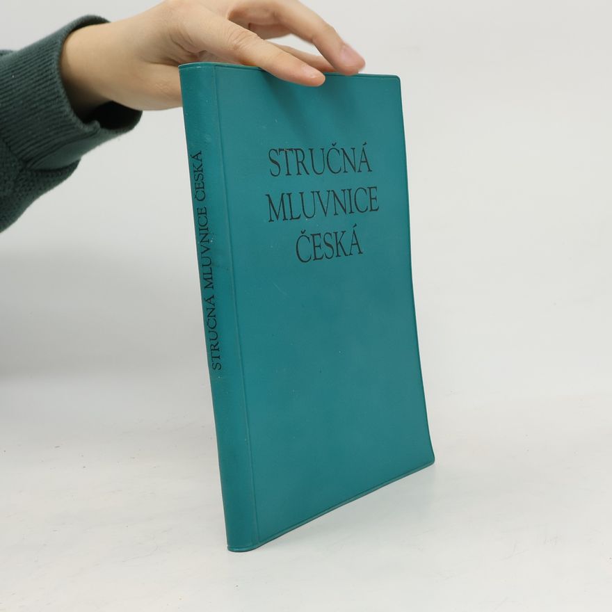 Collectif d'auteurs Stručná mluvnice česká