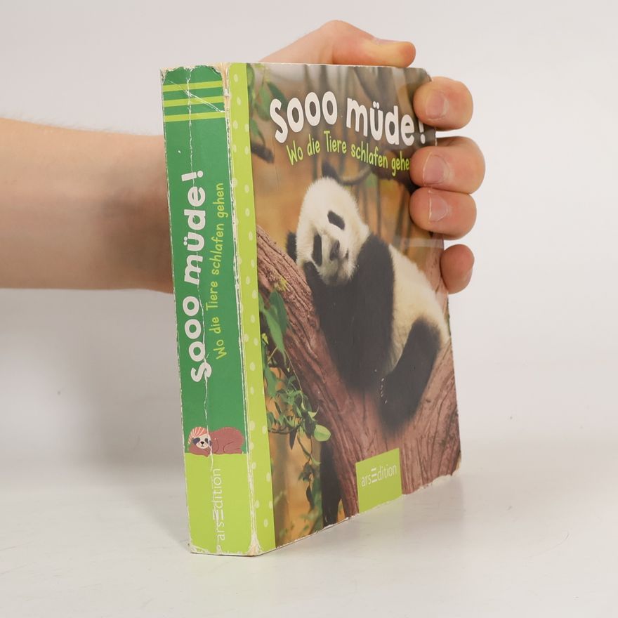 Various authors Sooo müde! - Wo die Tiere schlafen gehen