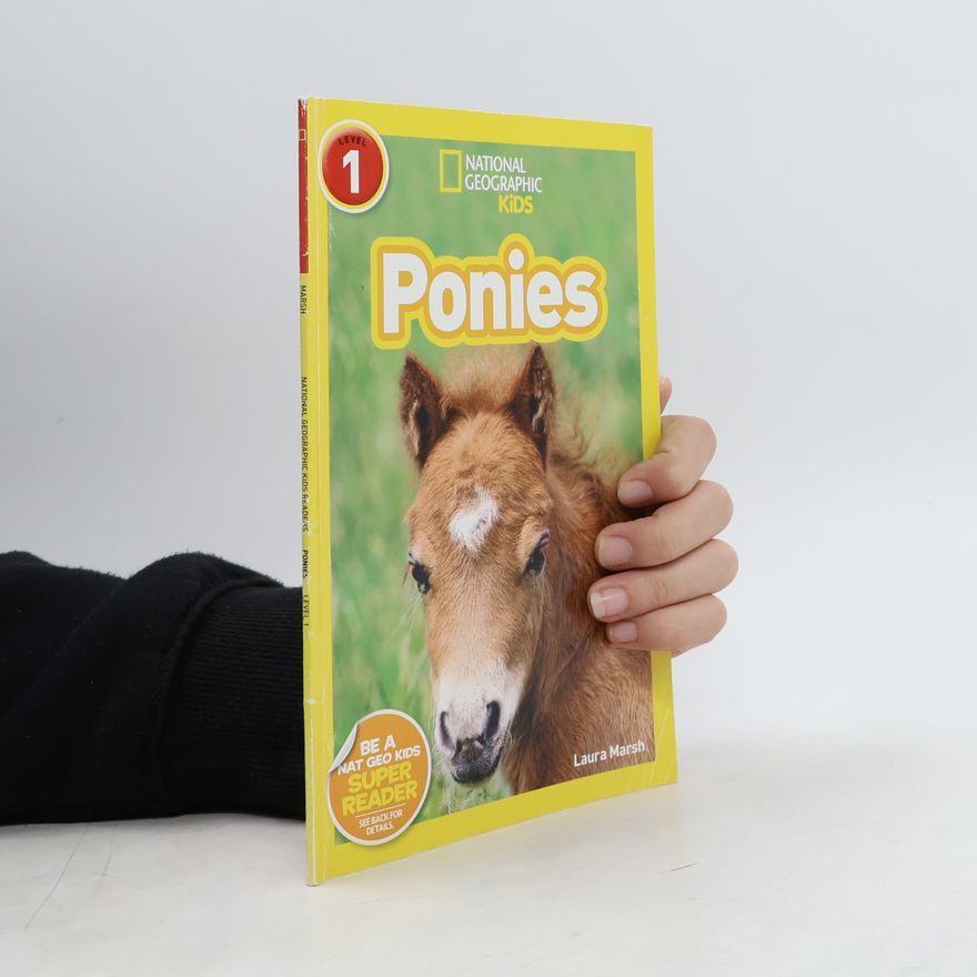 Laura Marsh Ponies