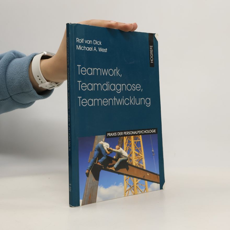 Rolf van Dick Teamwork, Teamdiagnose, Teamentwicklung