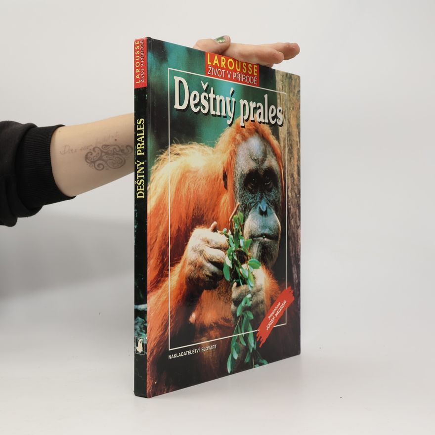 Vladimír Čadský Deštný prales