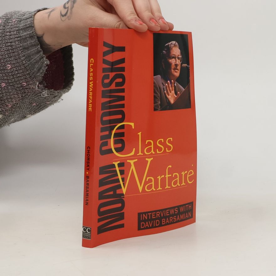 Noam Chomsky Class Warfare