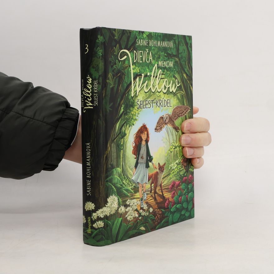 Sabine Bohlmann Dievča menom Willow 3: Šelest krídel