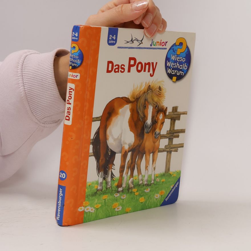 Thea Roß Das Pony