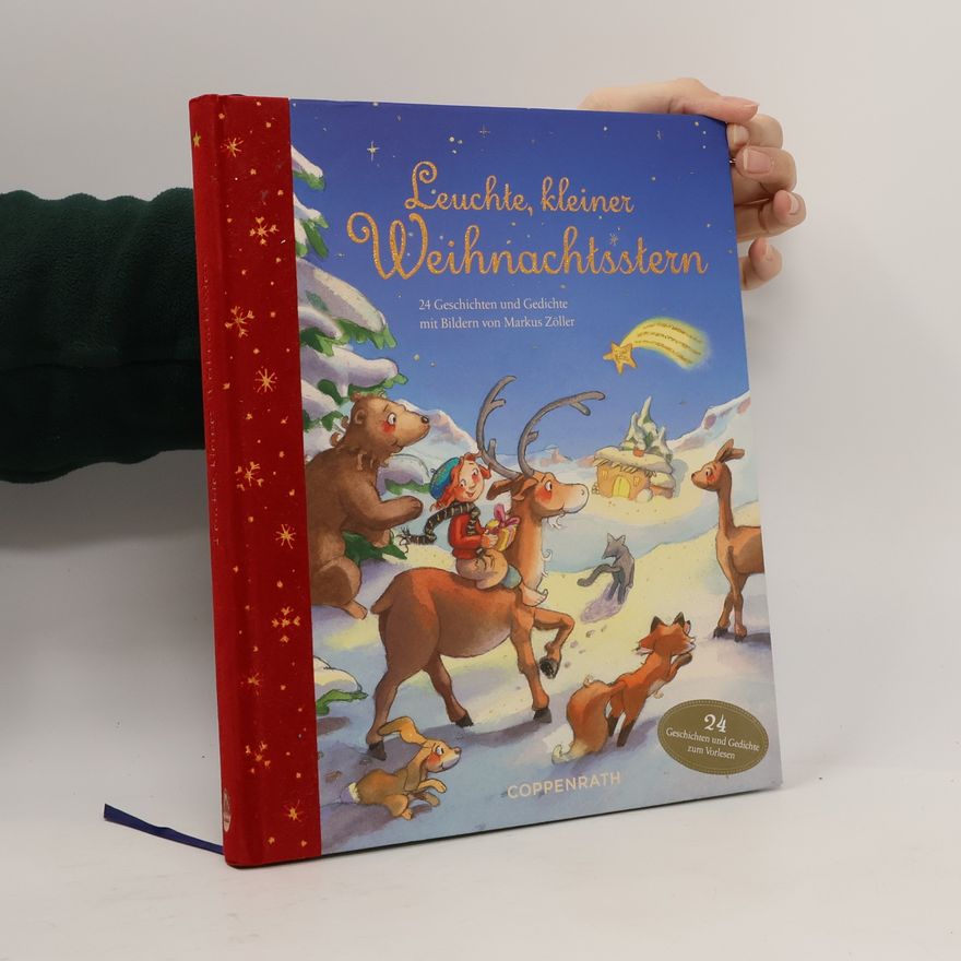 Markus Zöller Leuchte, kleiner Weihnachtsstern
