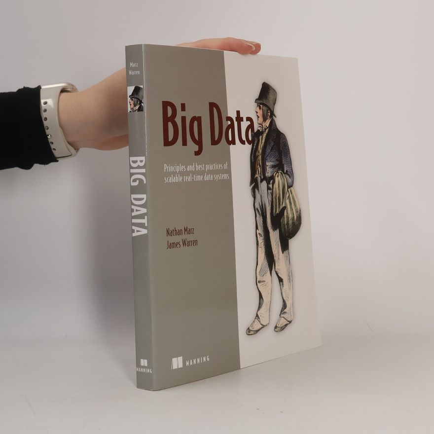 James Warren Big Data: Principles and Best Practices of Scalable Real-time Data Systems