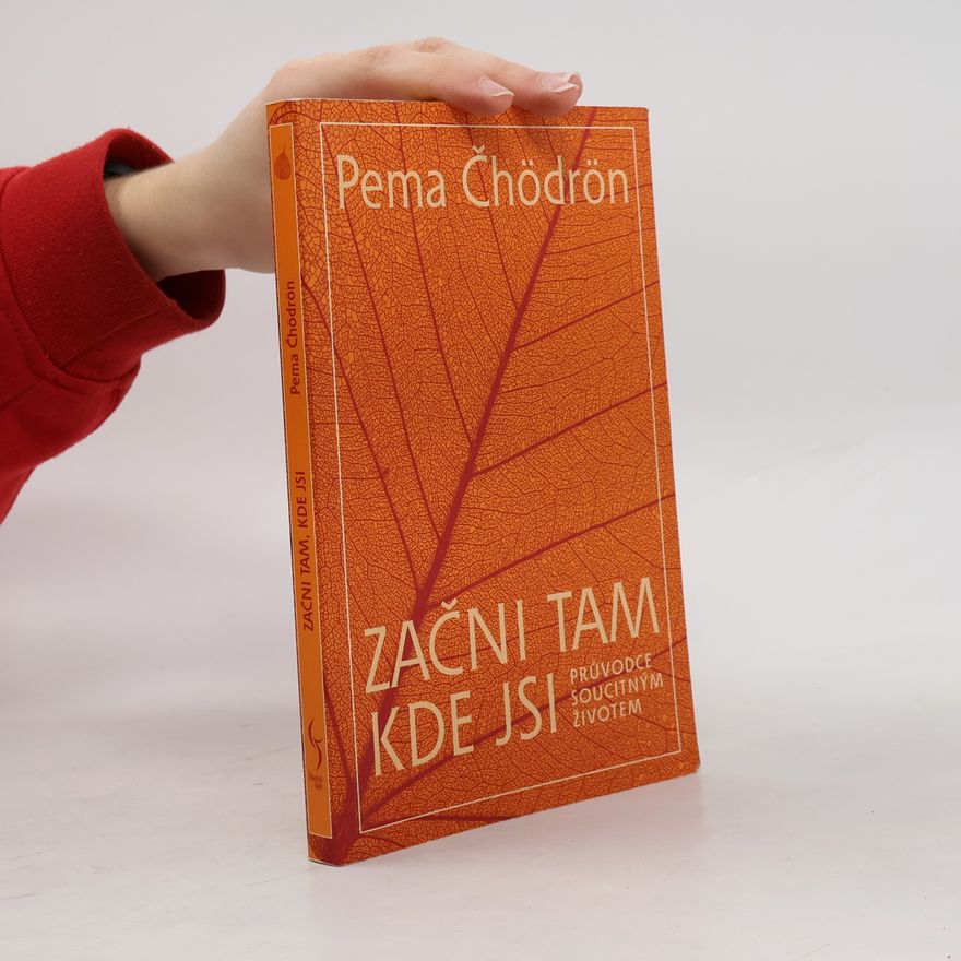 Pema Chödrön Začni tam, kde jsi: Průvodce soucitným životem