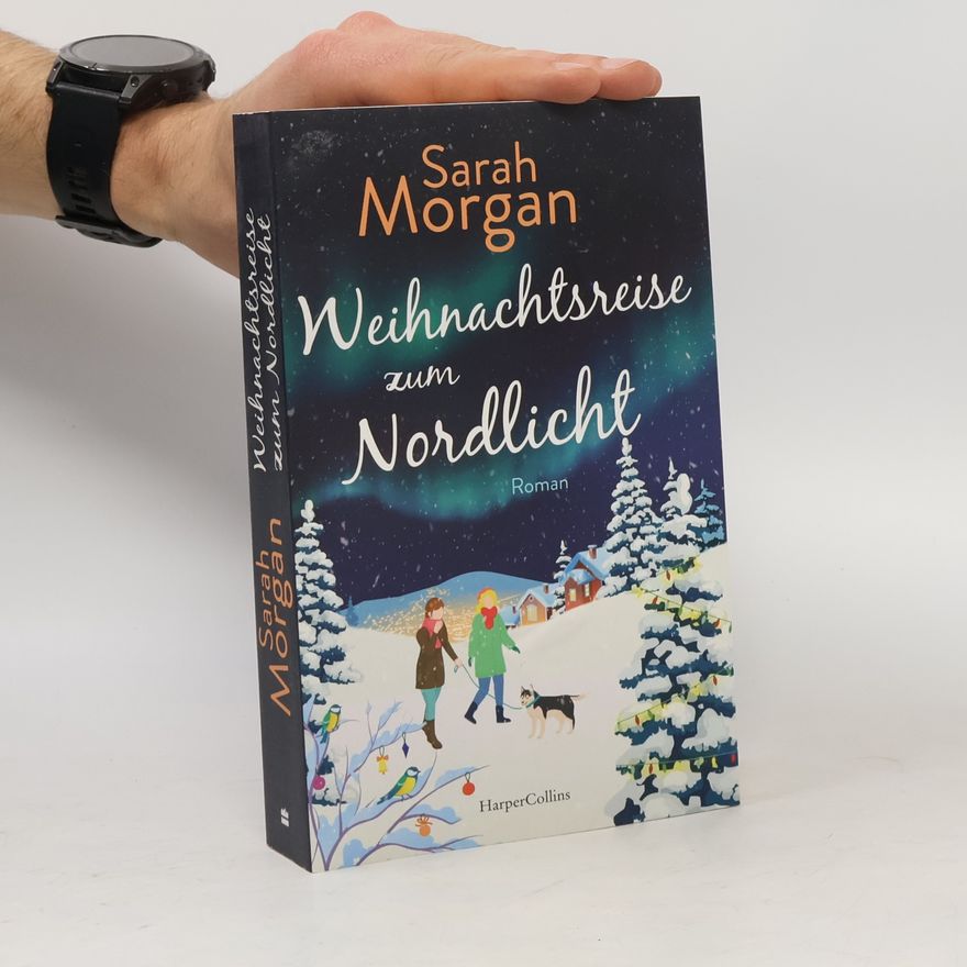 Sarah Morgan Weihnachtsreise zum Nordlicht