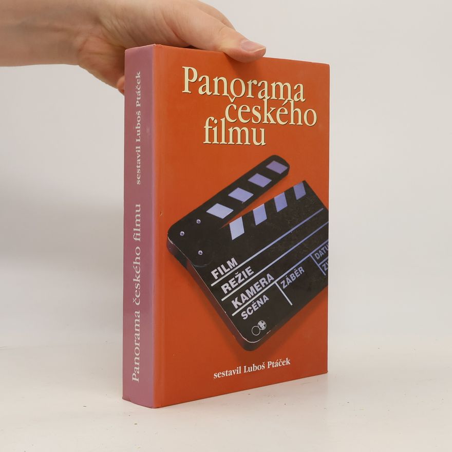 Petr Bilík Panorama českého filmu
