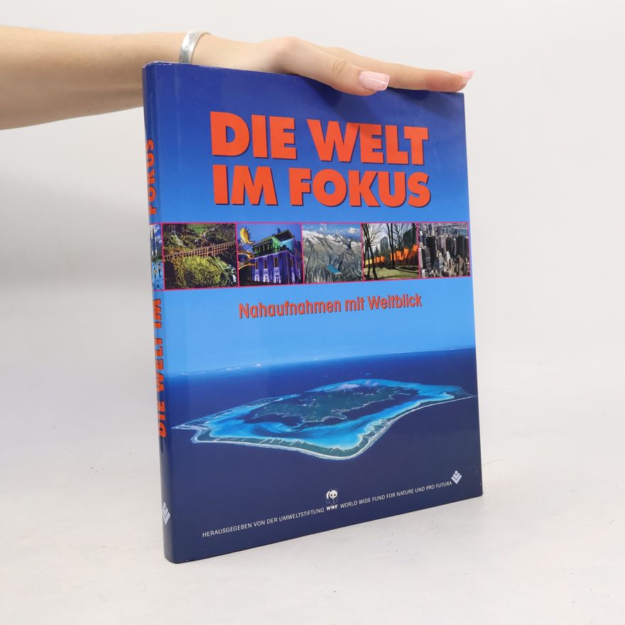 Kolektiv autorů Die Welt im Fokus