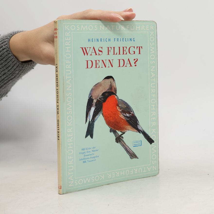 Heinrich Frieling Was fliegt denn da?