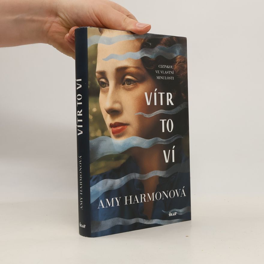 Amy Harmon Vítr to ví