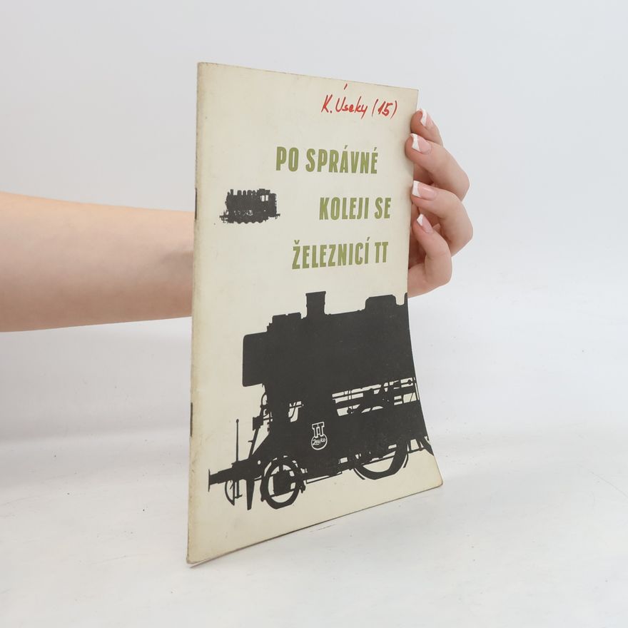 Kolektiv autorů Po správné koleji se železnicí TT