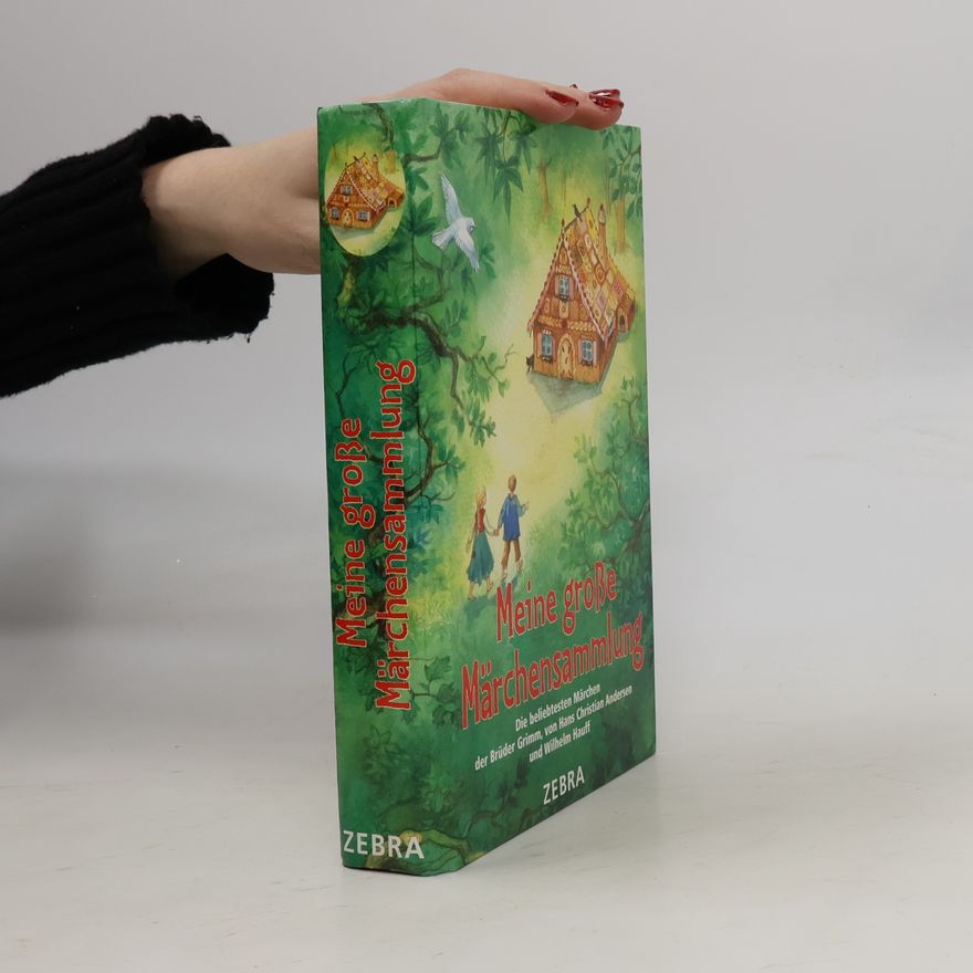 Hans Christian Andersen Meine große Märchensammlung