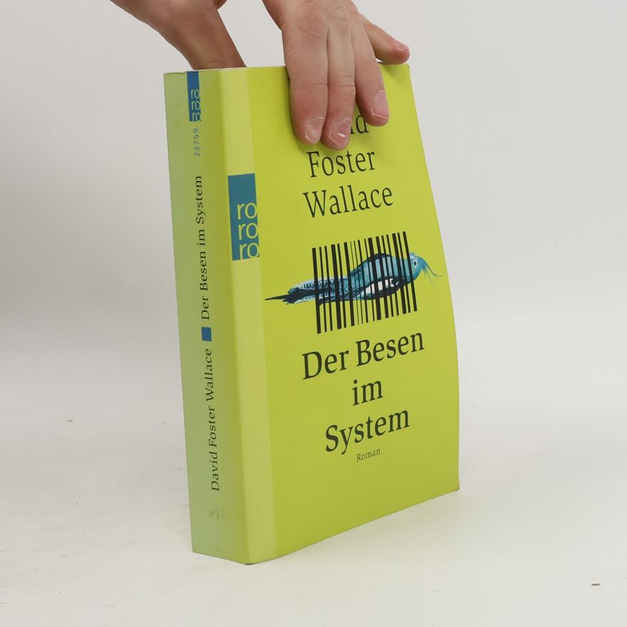 David Foster Wallace Der Besen im System