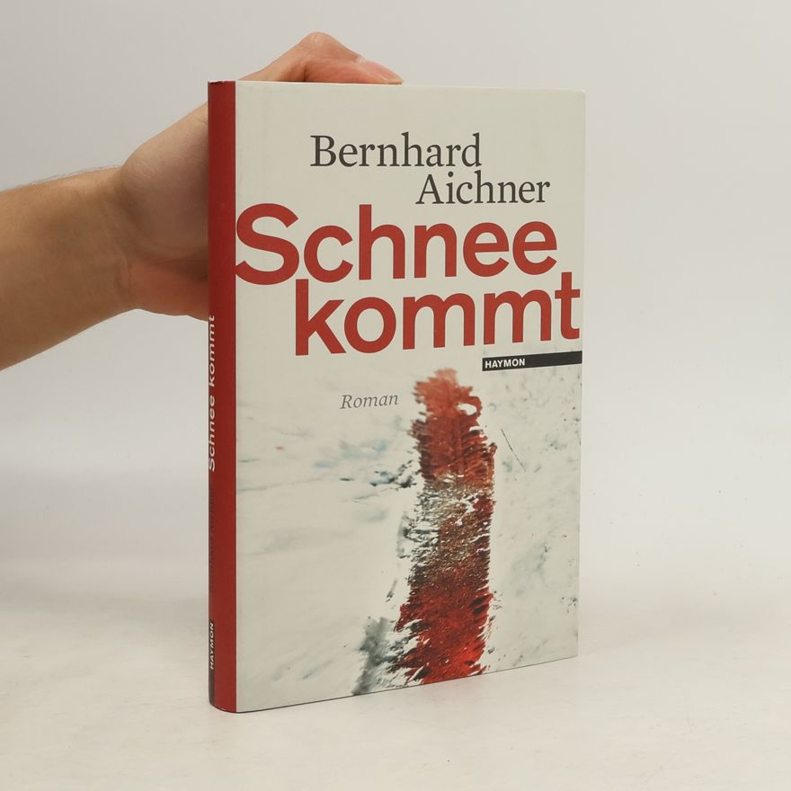 Bernhard Aichner Schnee kommt