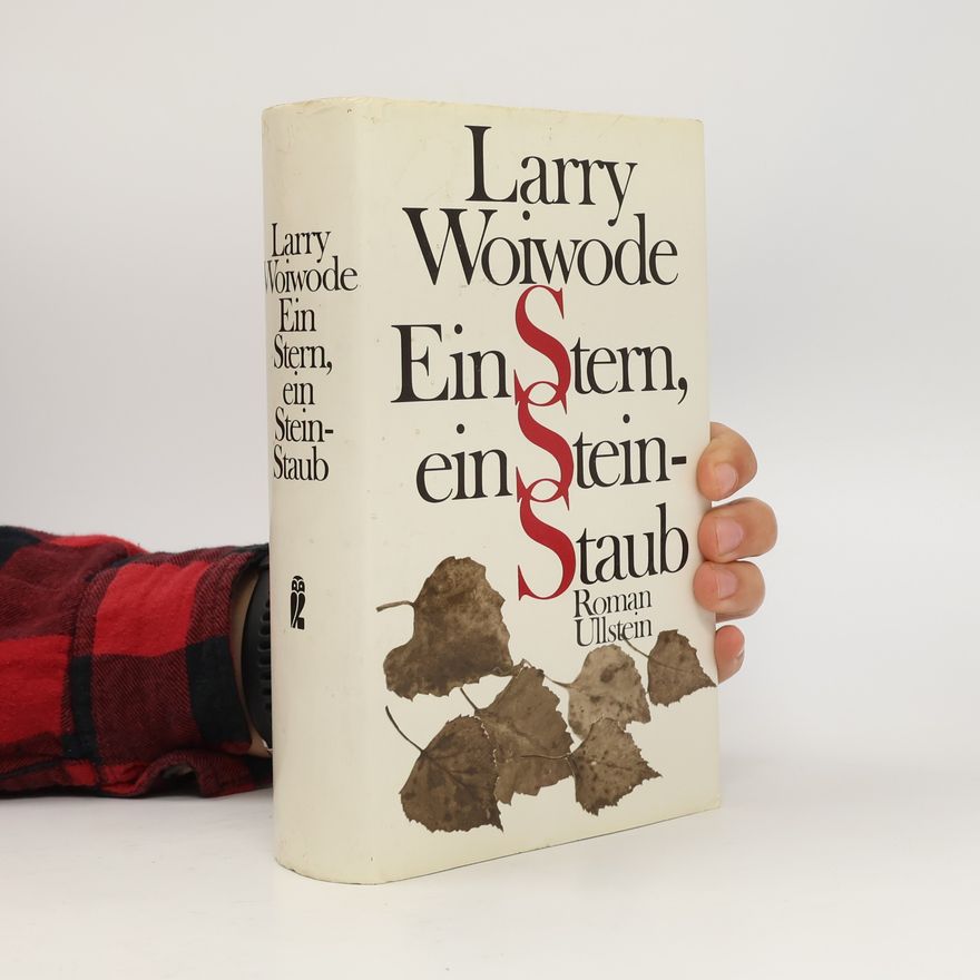 Larry Woiwode Ein Stern, ein Stein - Staub