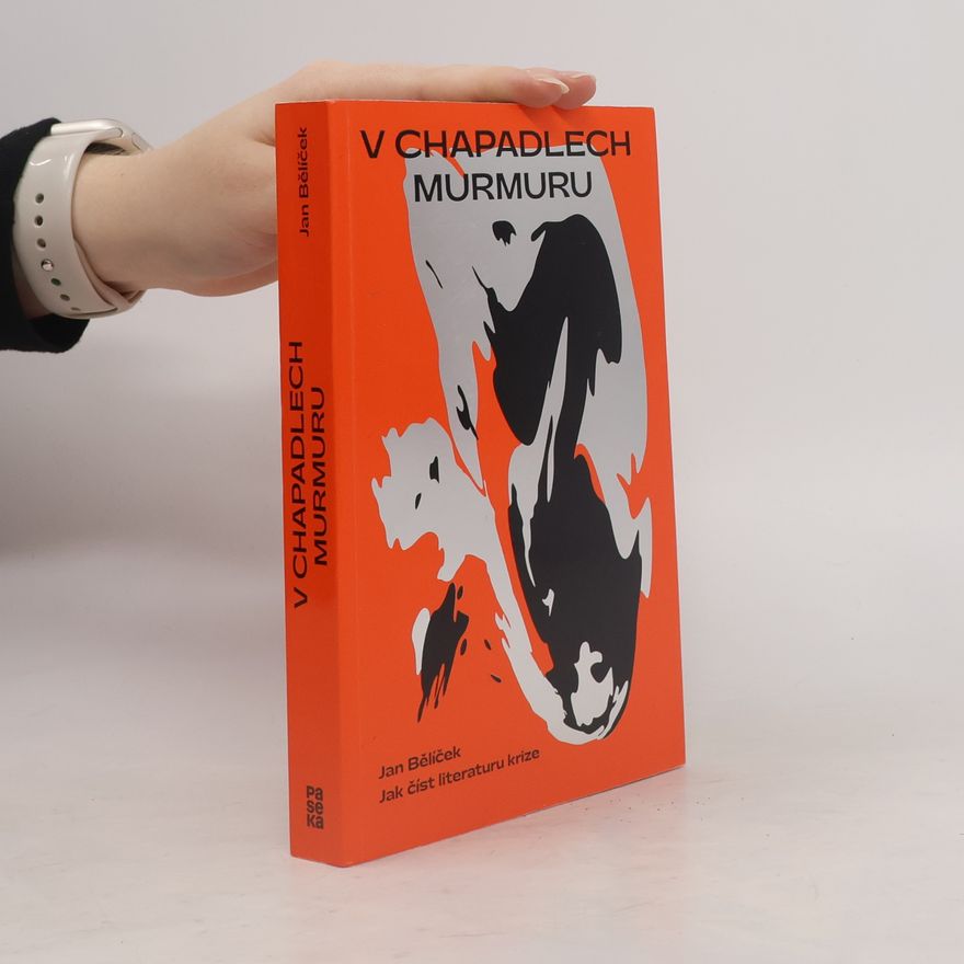 Jan Bělíček V chapadlech murmuru : jak číst literaturu krize