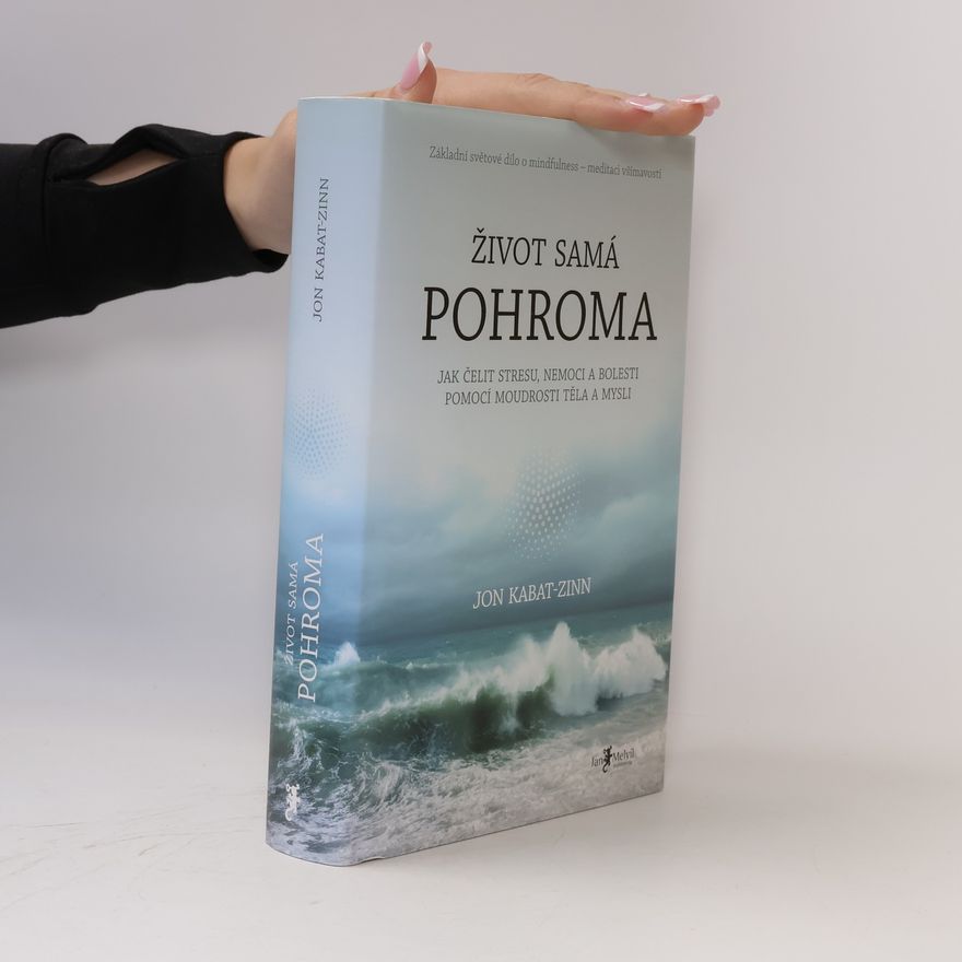Jon Kabat-Zinn Život samá pohroma