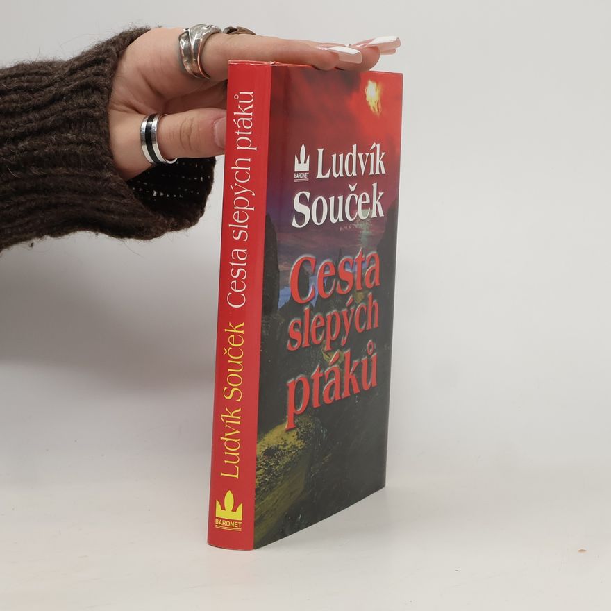Ludvík Souček Cesta slepých ptáků