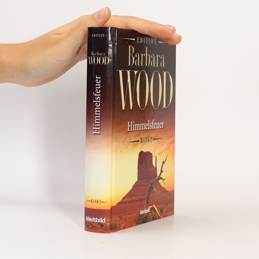 Barbara Wood Himmelsfeuer 2