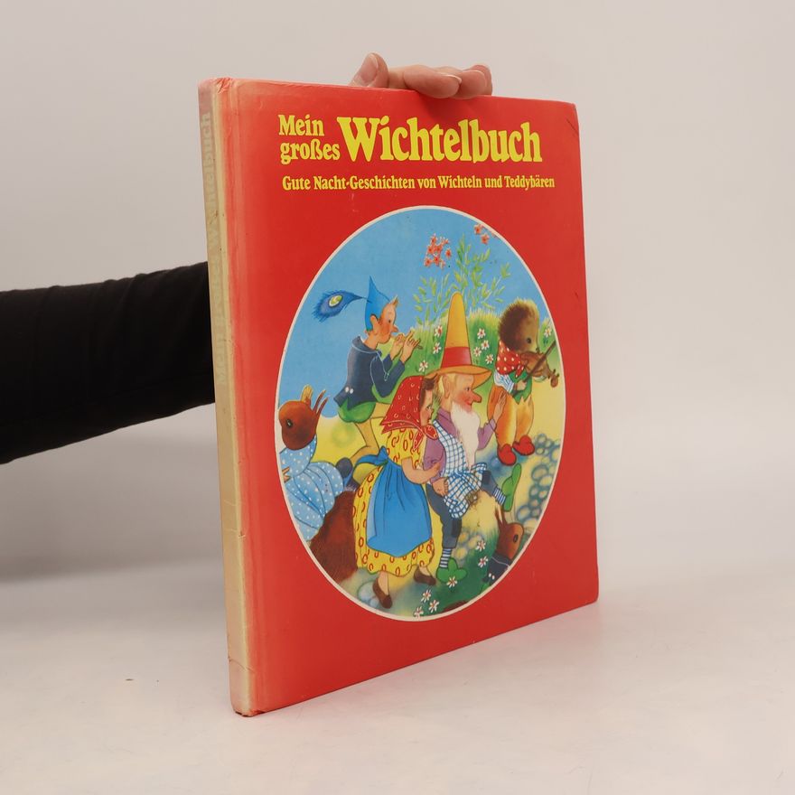Kolektiv autorů Mein großes Wichtelbuch