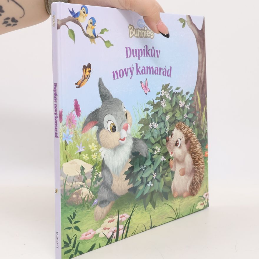 Walt Disney Dupíkův nový kamarád