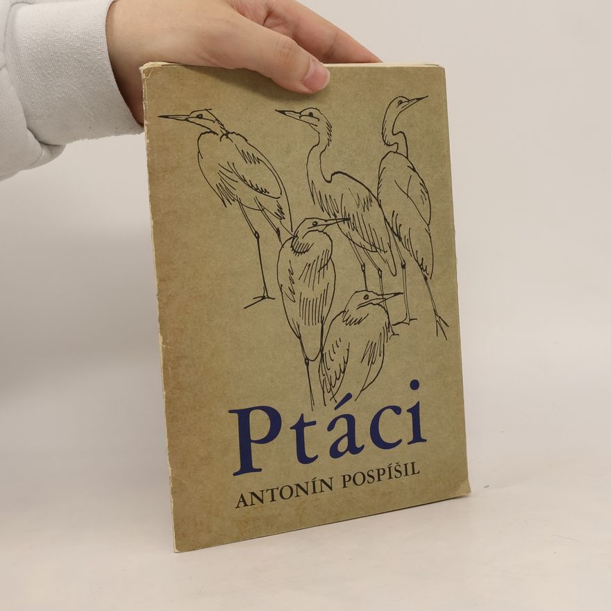 Antonín Pospíšil Ptáci