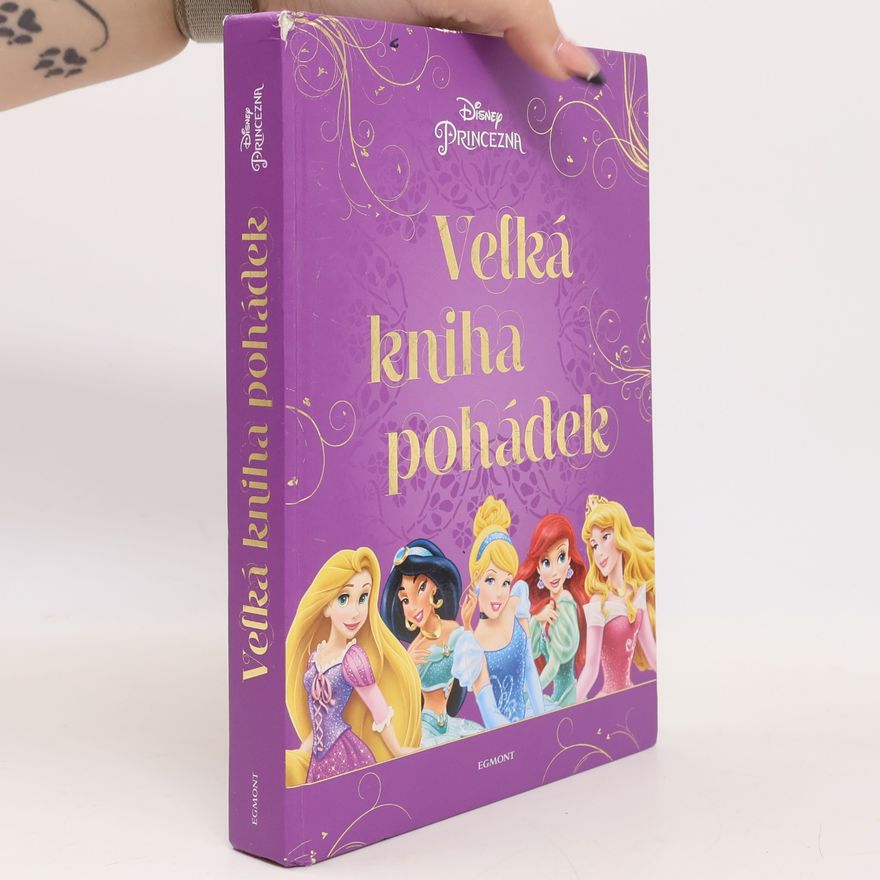 Various authors Velká kniha pohádek - princezna