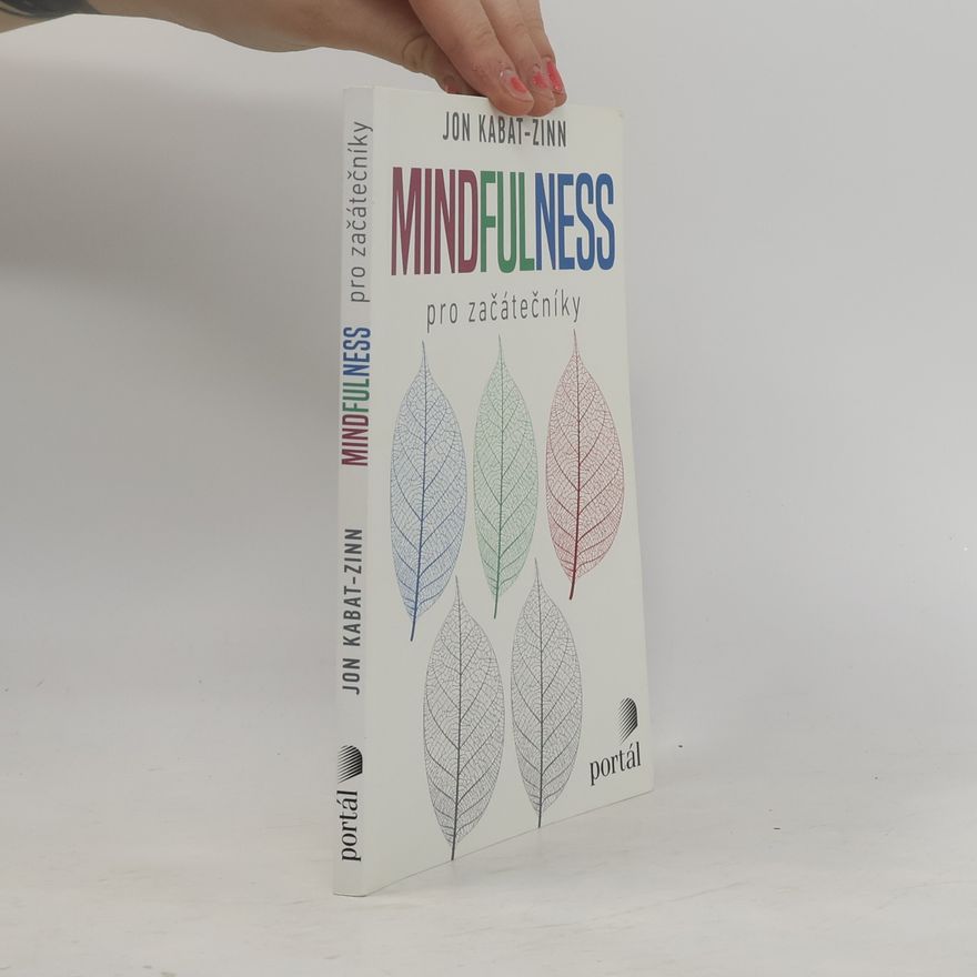 Ondřej Fafejta Mindfulness pro začátečníky