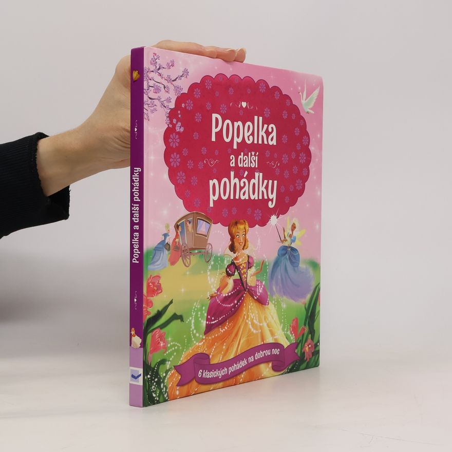 Autorenkollektiv Popelka a další pohádky