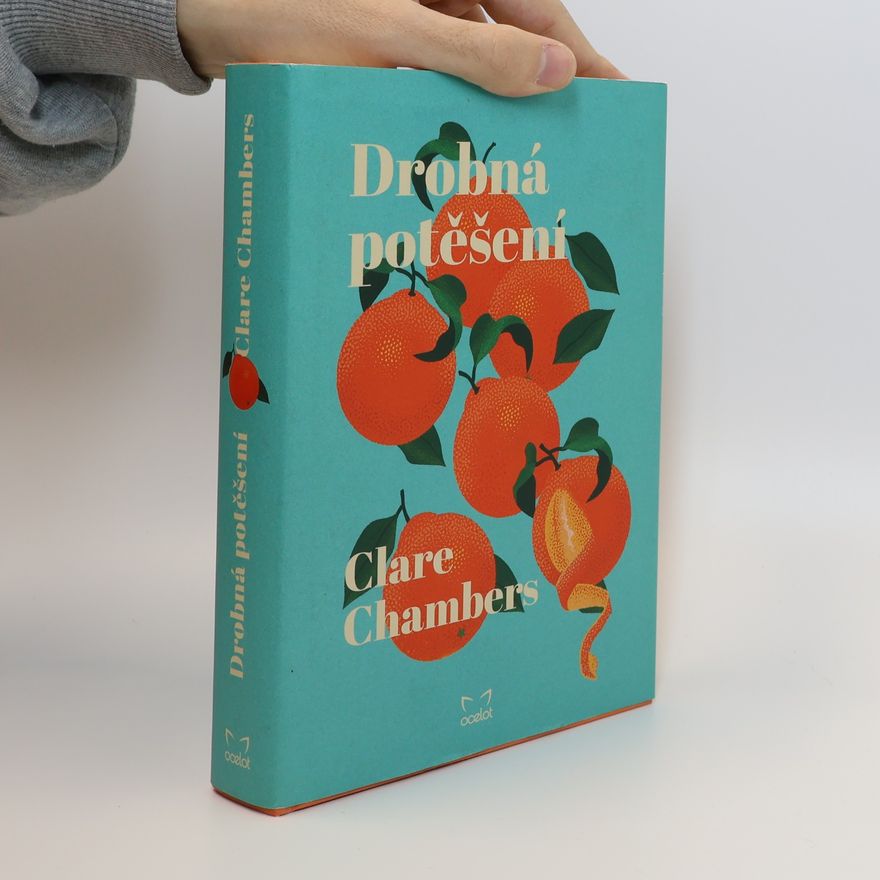Clare Chambers Drobná potěšení