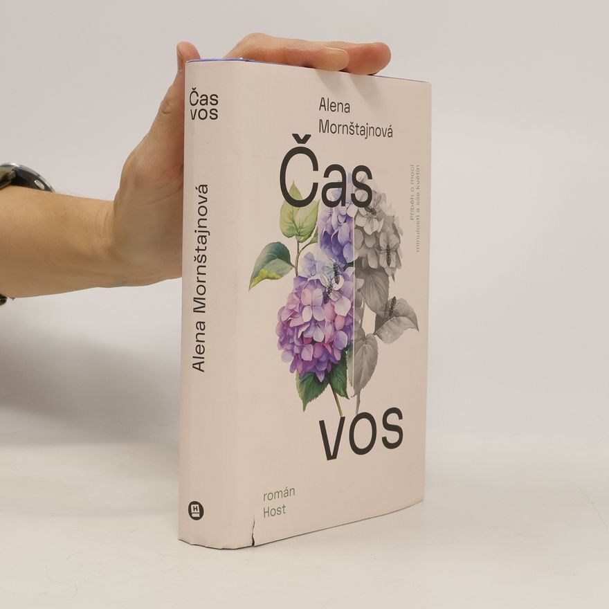 Alena Mornštajnová Čas vos