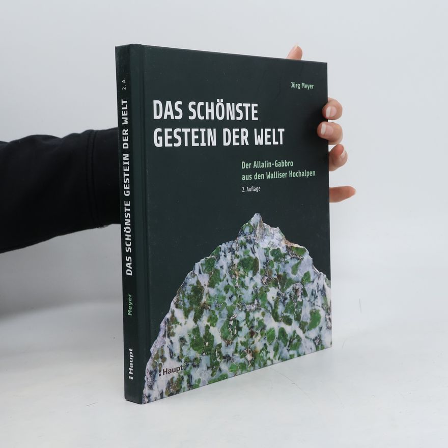 Jürg Meyer Das Schönste Gestein der Welt