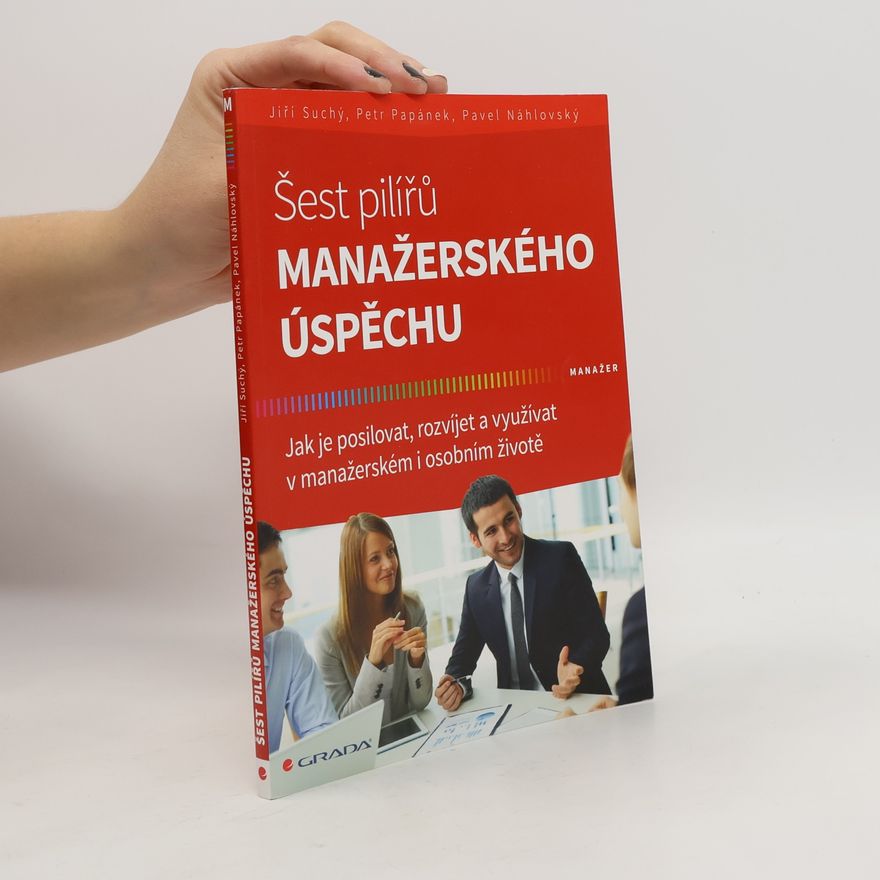 Petr Papánek Šest pilířů manažerského úspěchu